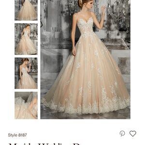 Wedding Dress with veil and jeweled headpiece